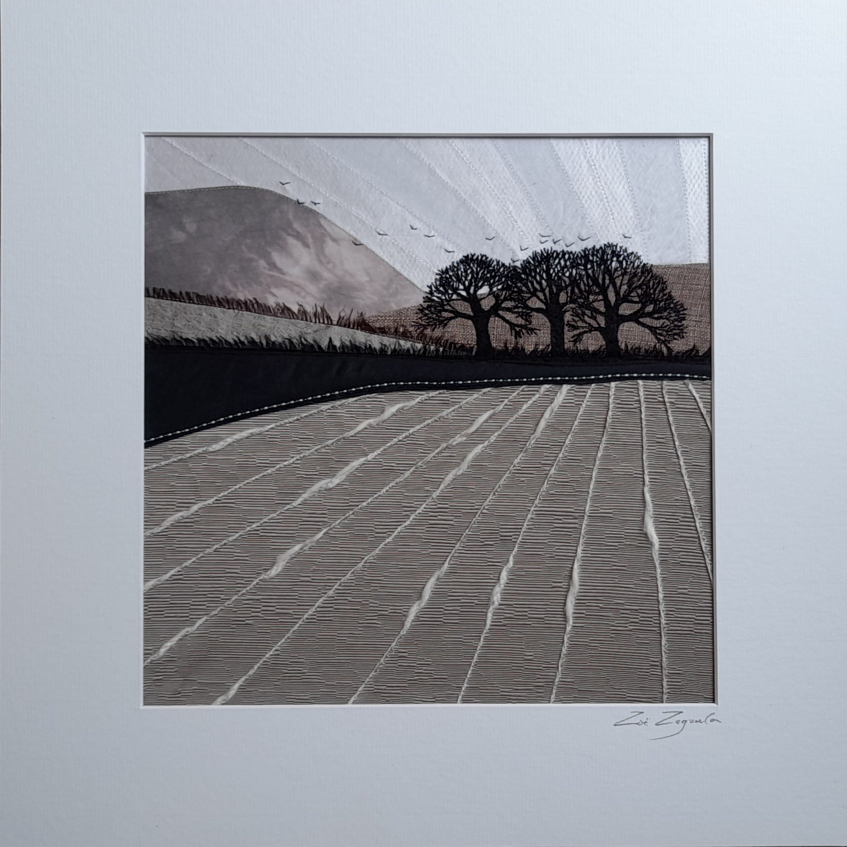 Light on the Fell Zoe Zegzula